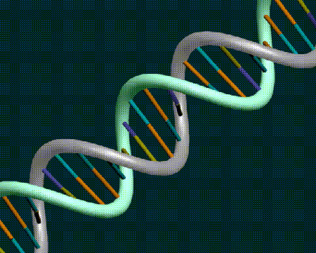 Sclerosi multipla: un problema non solo immunologico