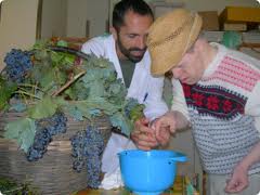 Vendemmia 2012: a Venezia il vino sposa la solidariet 